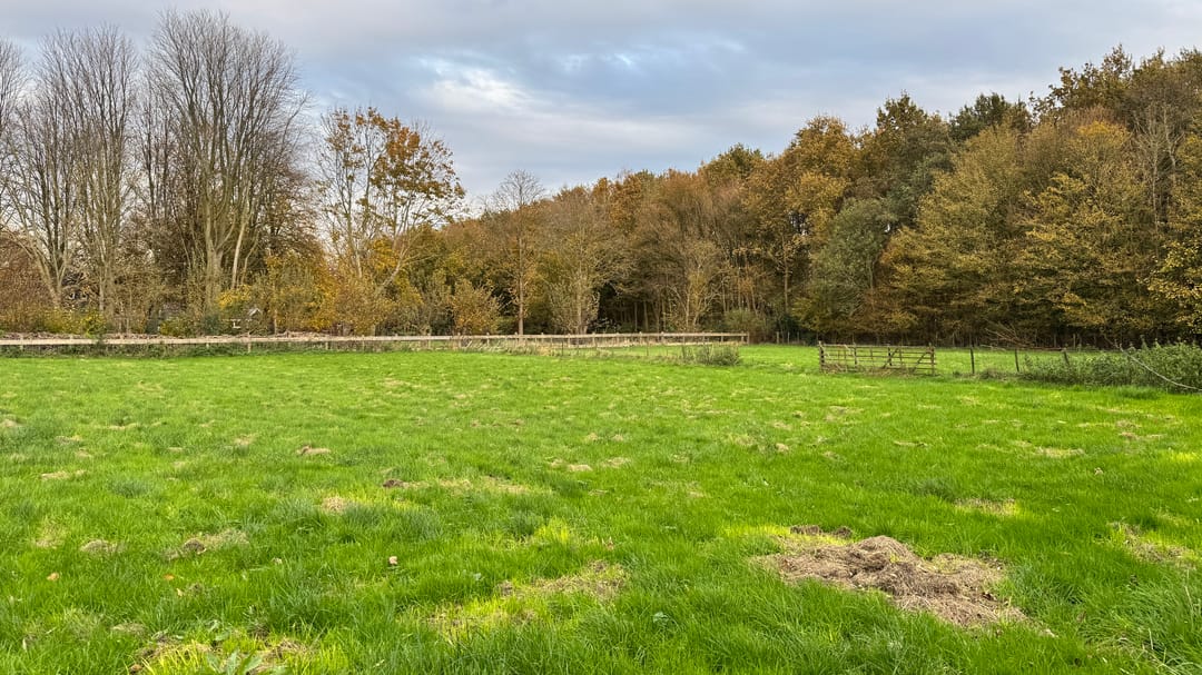 Photo 16 of Nekkerweg perceel 5091 kavel 1