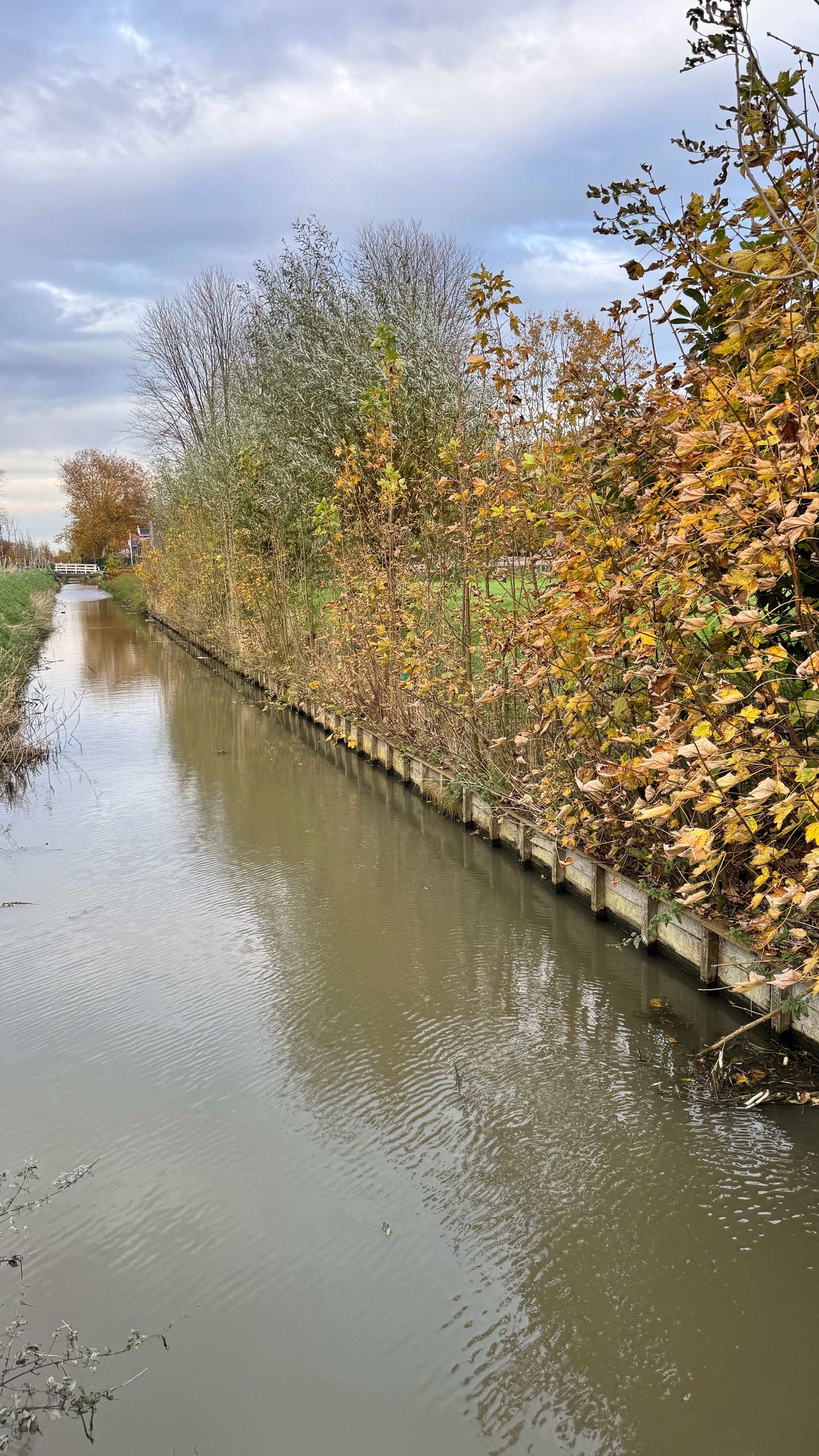 Photo 18 of Nekkerweg perceel 5091 kavel 1