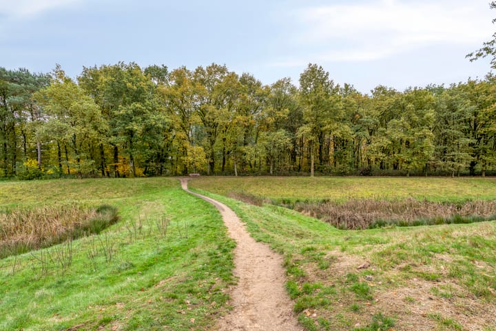 Photo 32 of De Oever 10