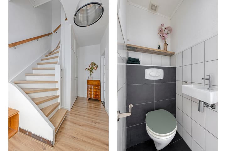 Photo 6 of Mastland 5