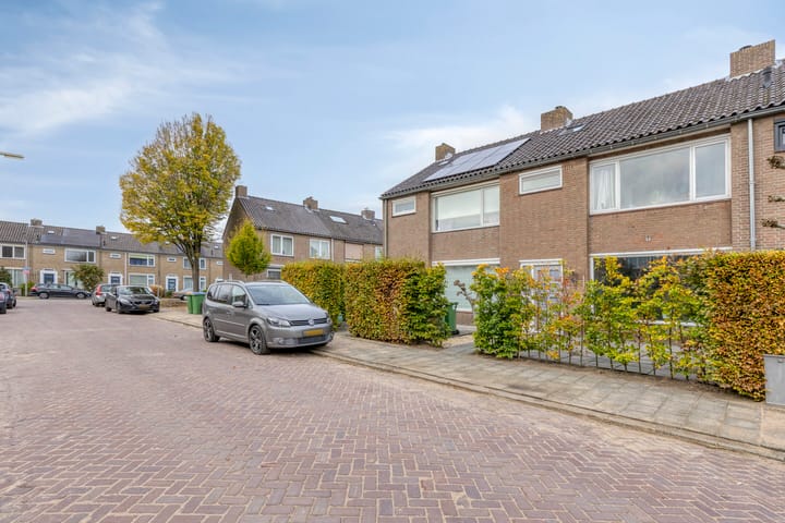 Photo 32 of Mastland 5