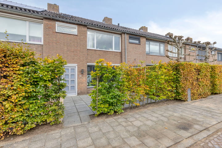 Photo 33 of Mastland 5