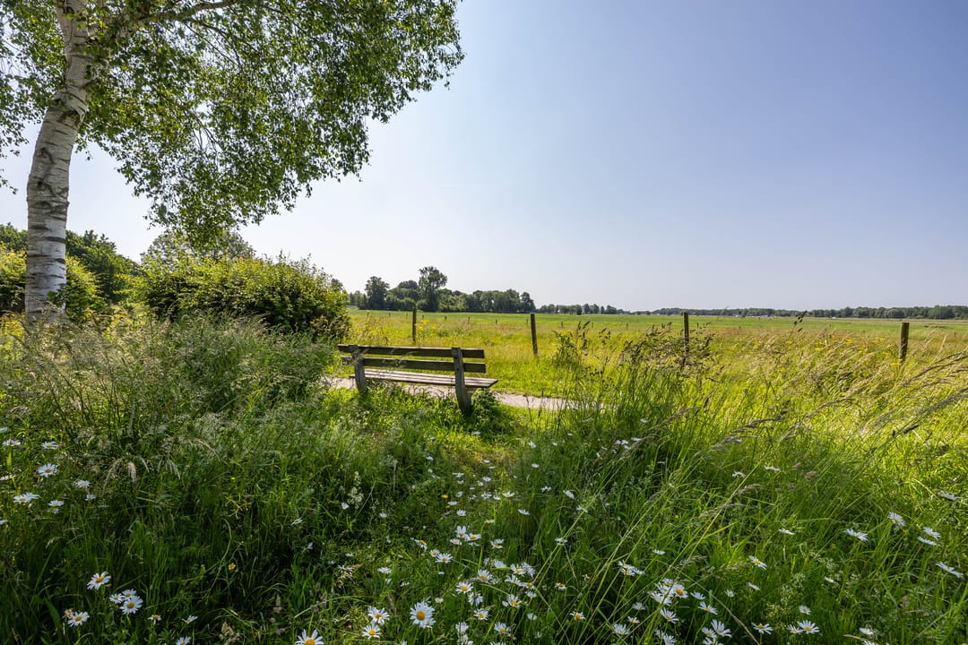 Photo 31 of Vestdijklaan 368