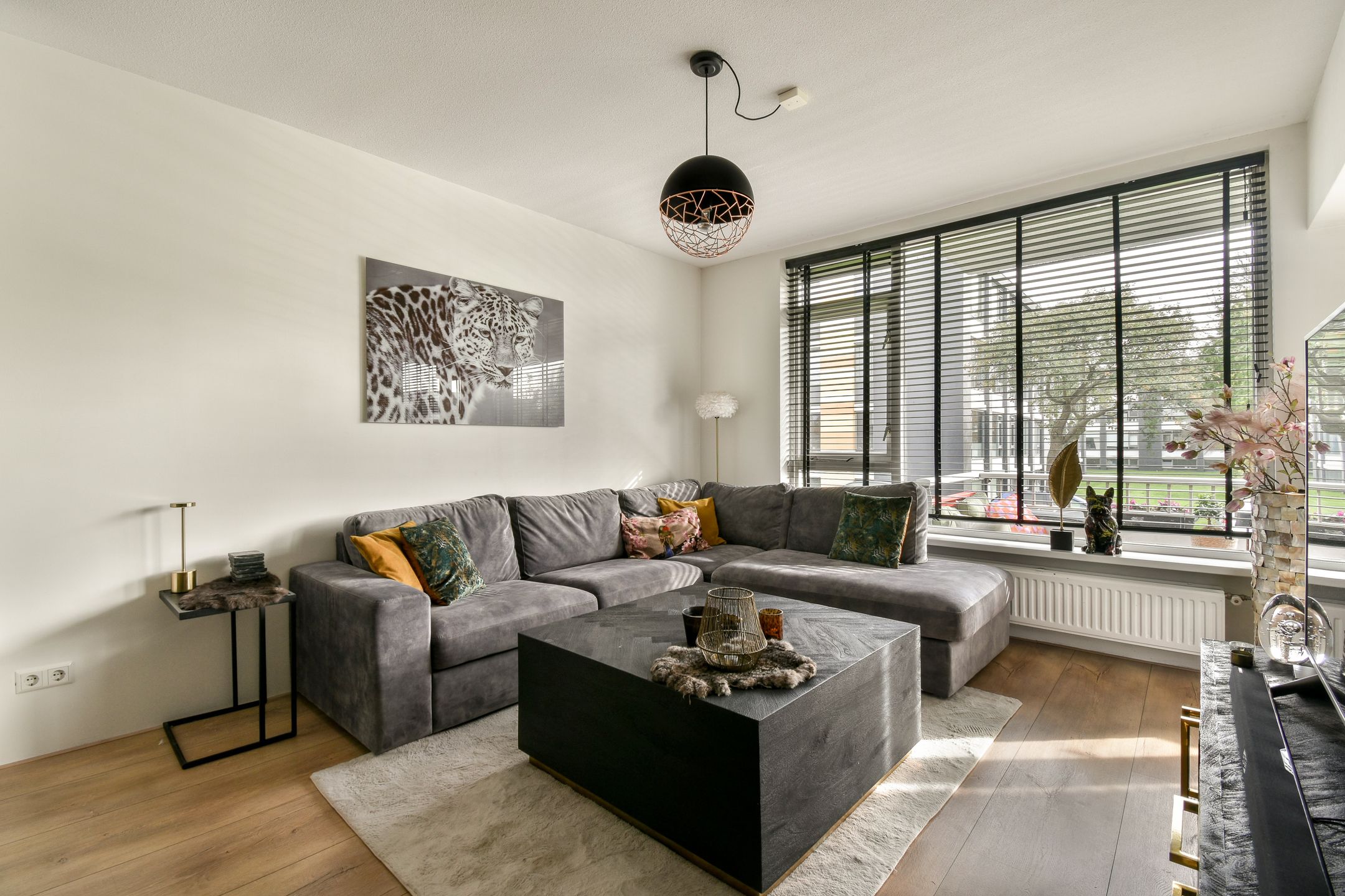 Photo 6 of Tesselschadestraat 14