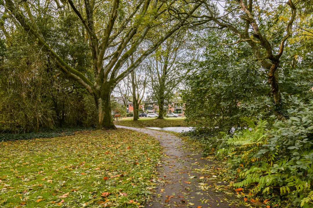 Photo 26 of Tesselschadestraat 14