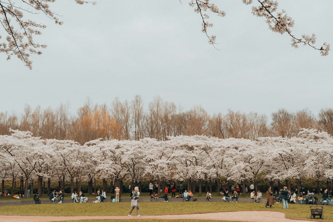 Foto 32 van Rozemarijnlaan 3