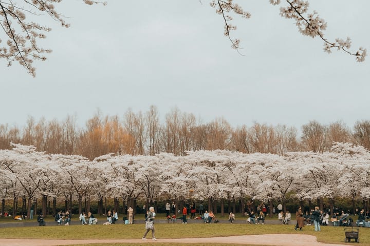 Photo 32 of Rozemarijnlaan 3