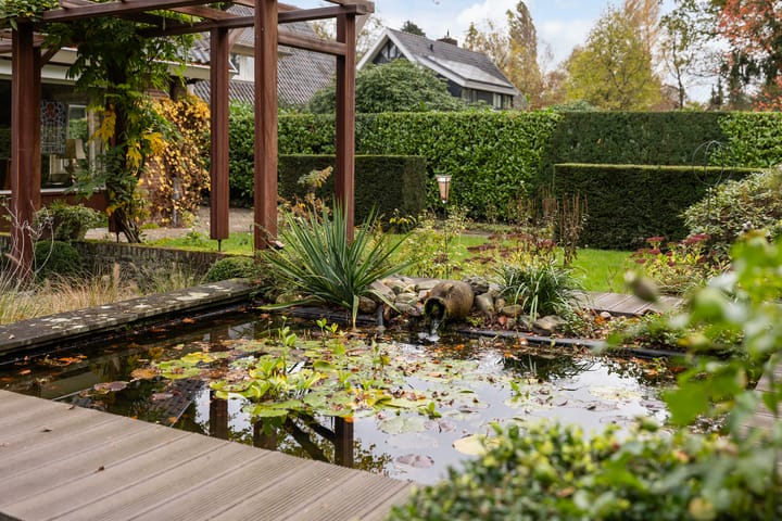 Foto 8 van Treekerbergje 12