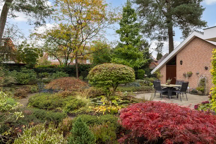 Foto 17 van Treekerbergje 12