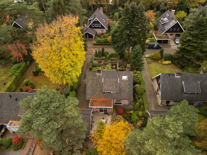 Foto 37 van Treekerbergje 12