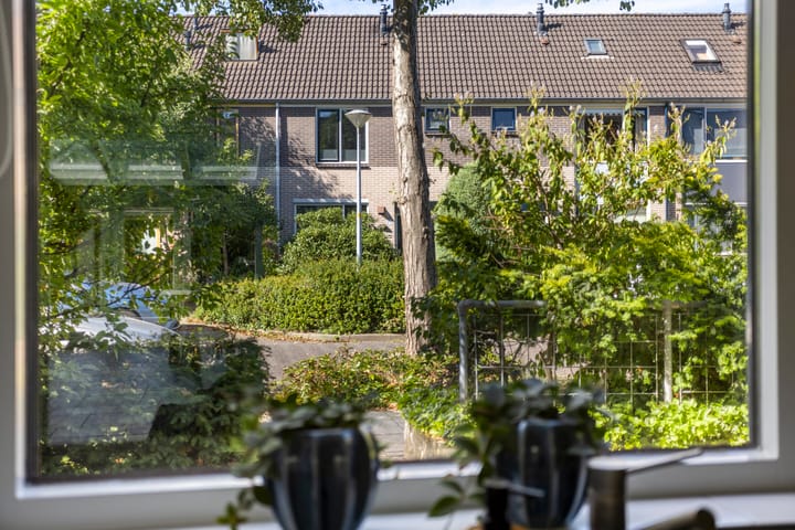 Photo 19 of Paul Rodenkolaan 103