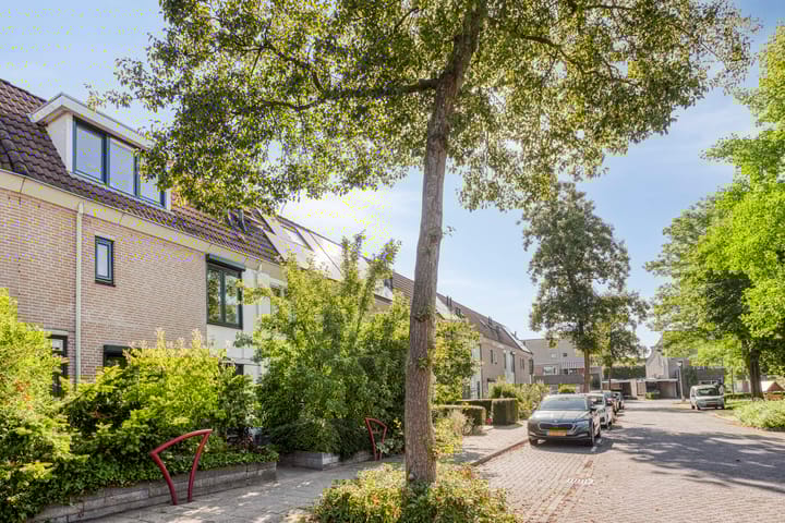 Photo 46 of Paul Rodenkolaan 103