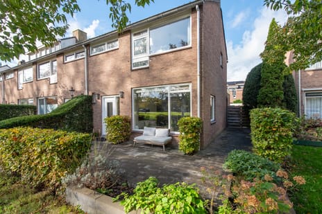 undefined main image