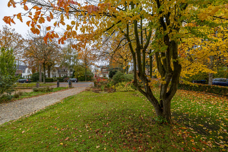 Rijksstraatweg 314-a tertiary image