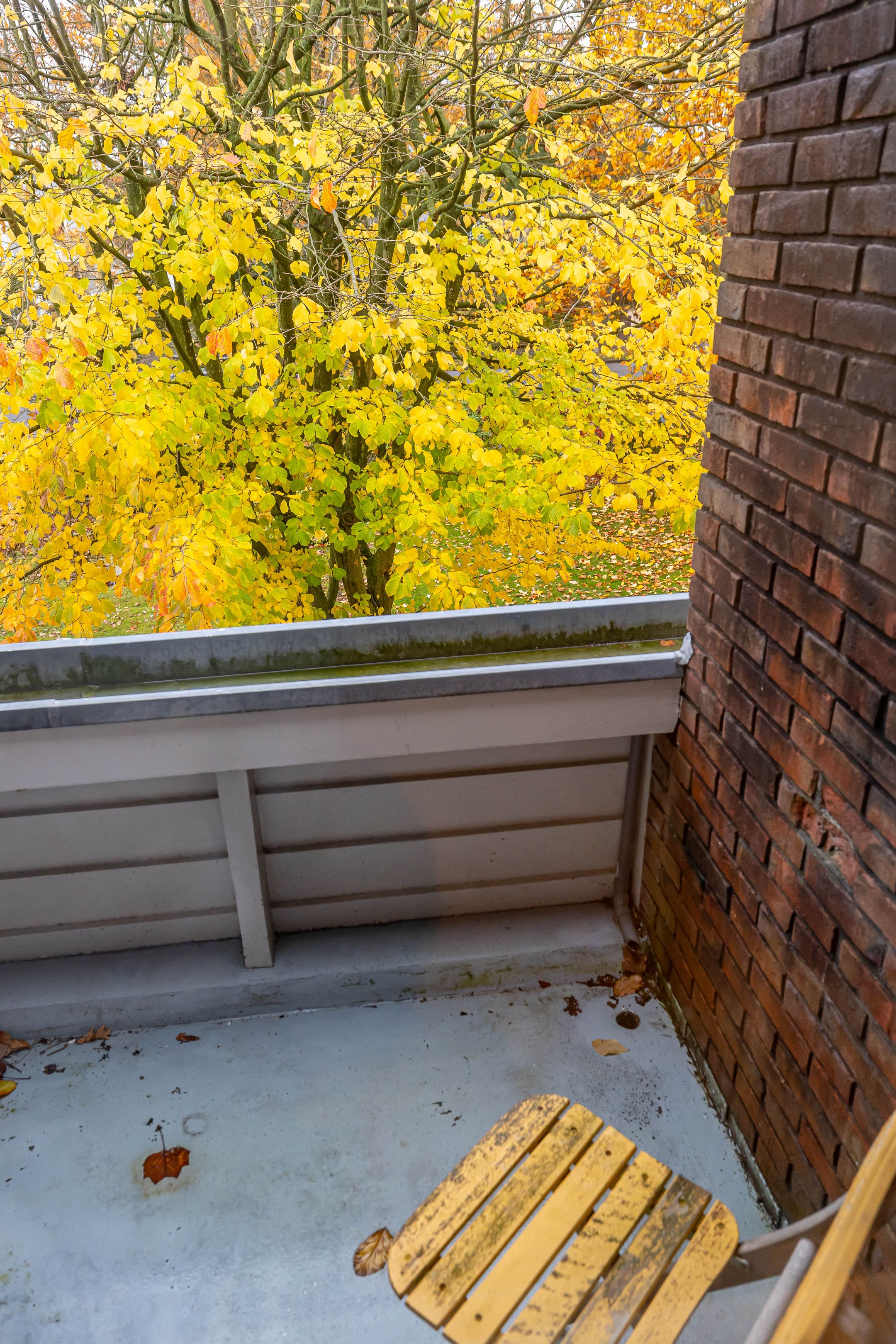 Foto 36 van Rijksstraatweg 314-A