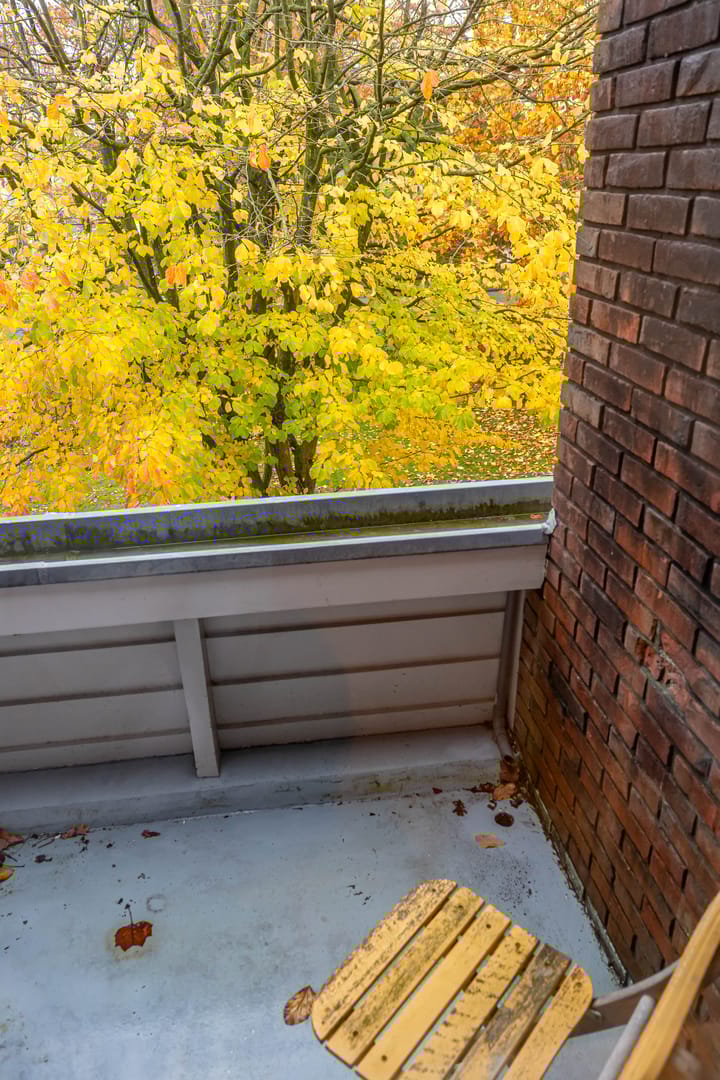 Photo 36 of Rijksstraatweg 314-A