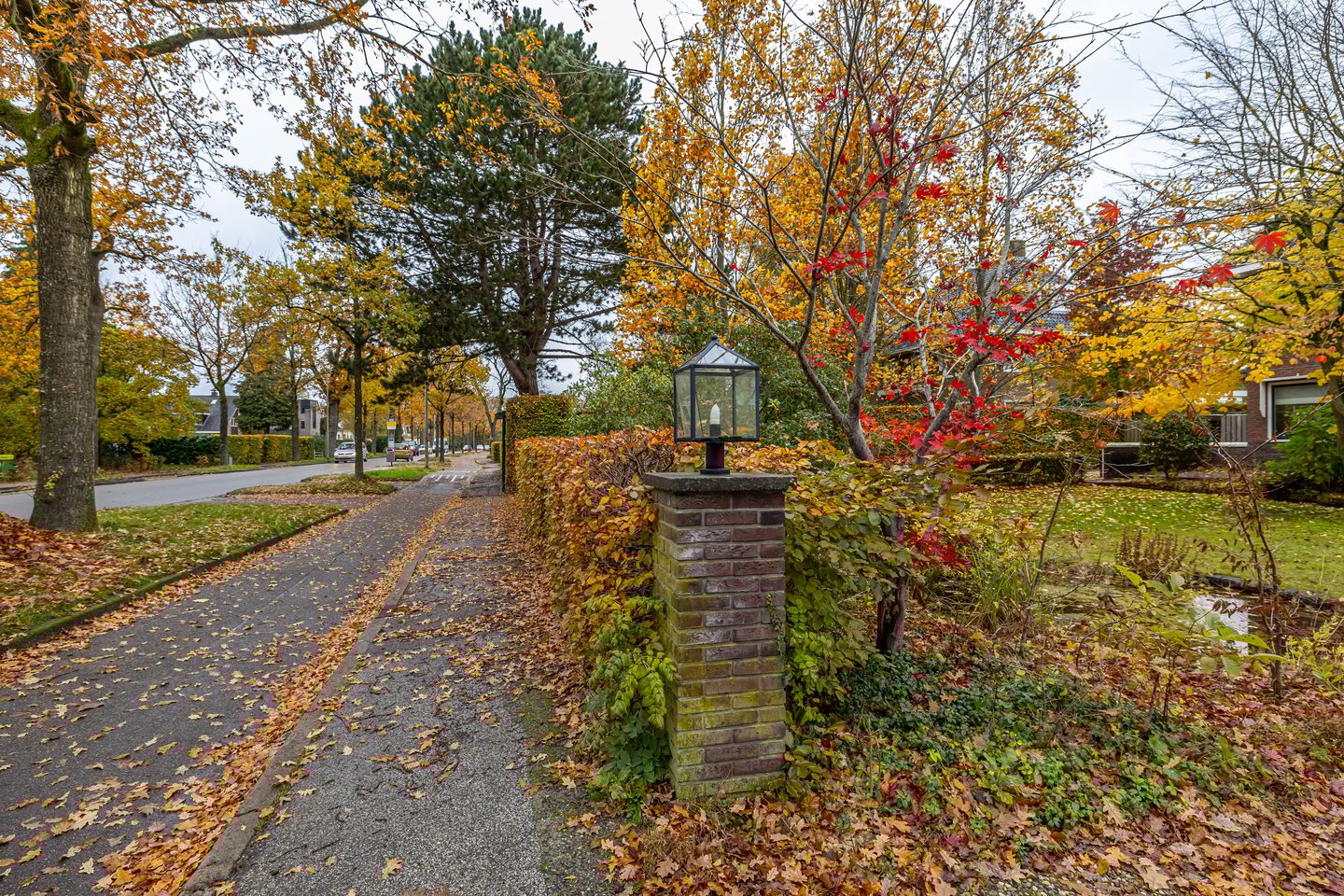 Foto 59 van Rijksstraatweg 314-A