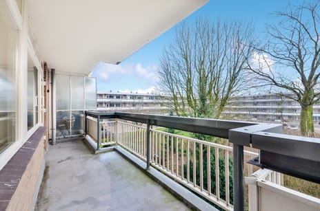 Bolestein 342 tertiary image