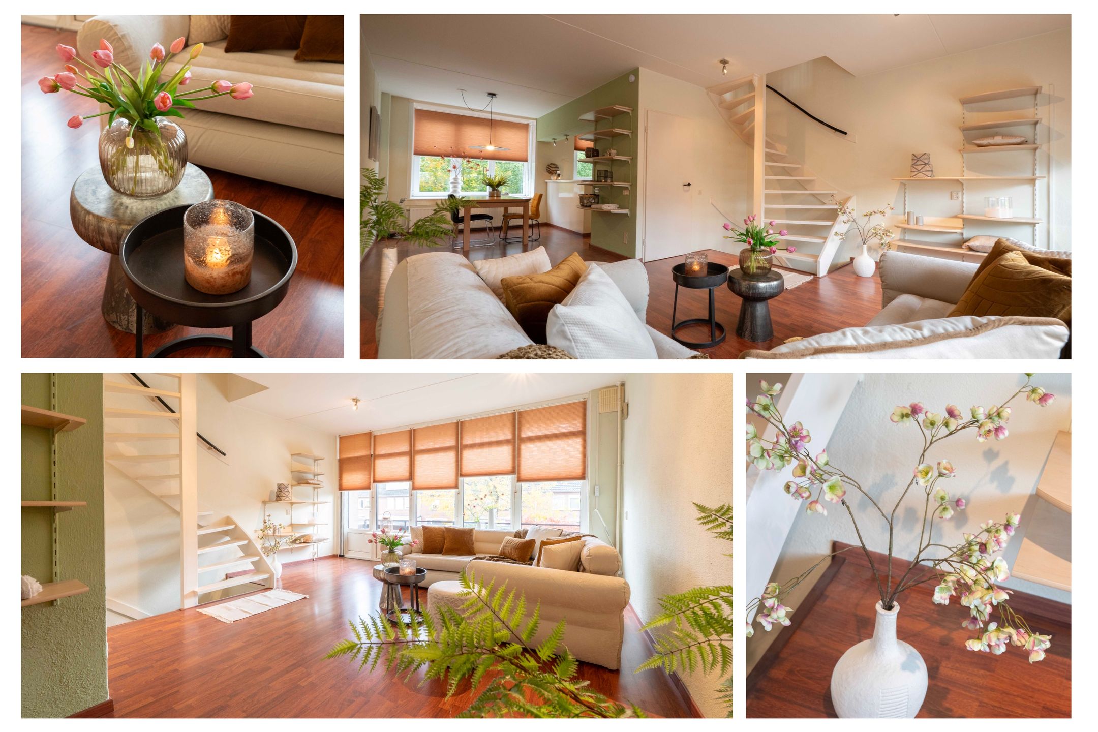 Photo 6 of Sint Pieter 8