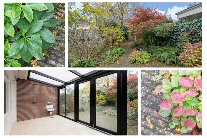 Photo 33 of Sint Pieter 8