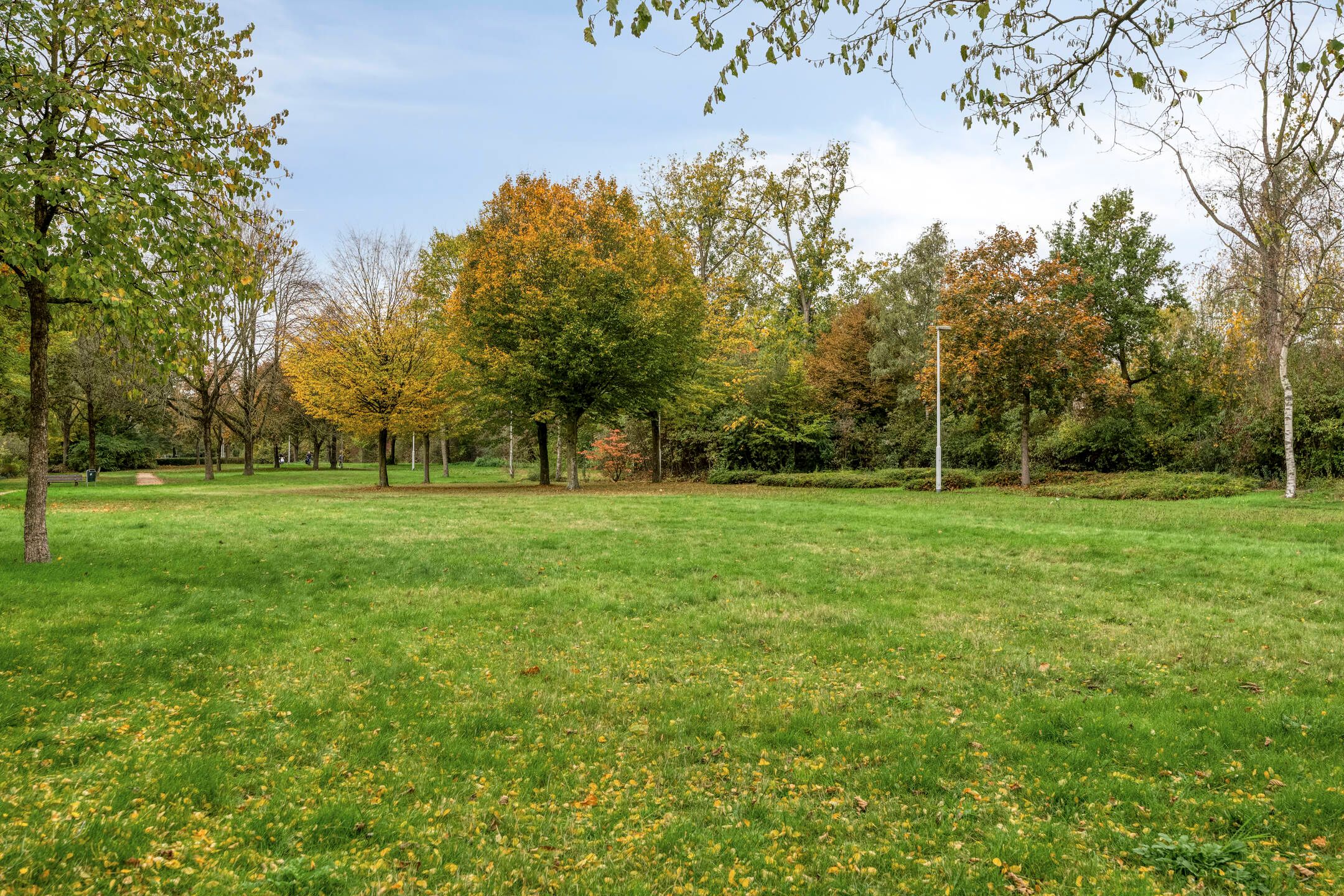 Photo 36 of Ruwenberg 14