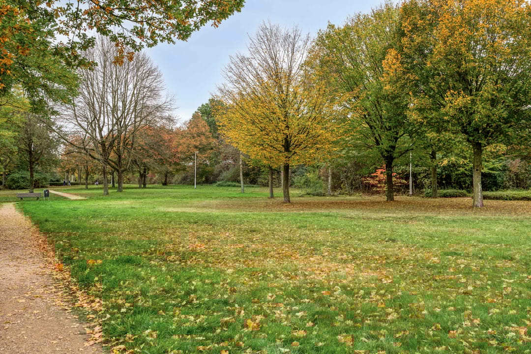 Photo 38 of Ruwenberg 14