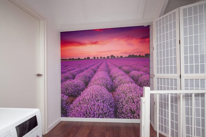 Foto 35 van Graan voor Visch 18821