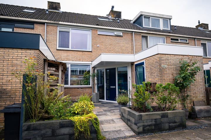 Foto 40 van Graan voor Visch 18821