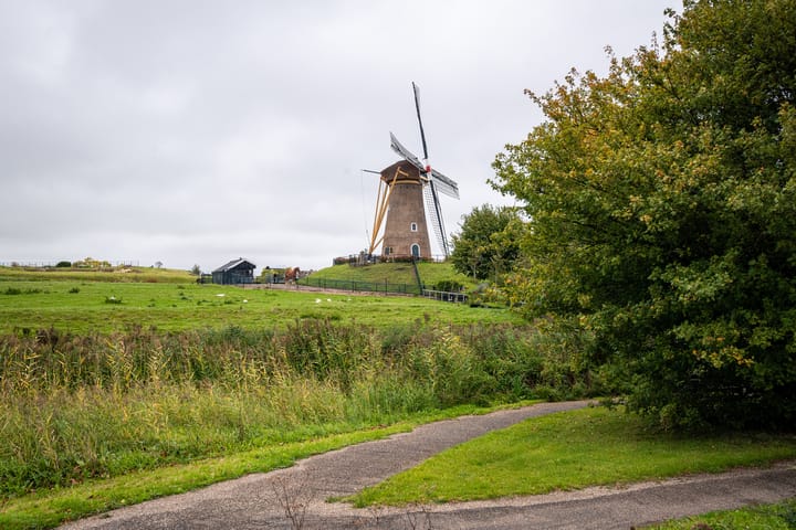 Foto 44 van Graan voor Visch 18821