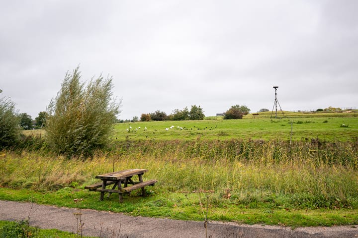 Foto 45 van Graan voor Visch 18821