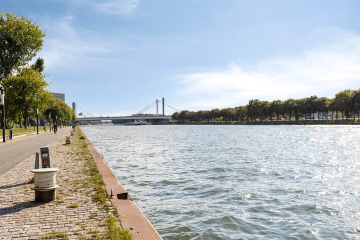 Foto 25 van Rooseveltlaan 824