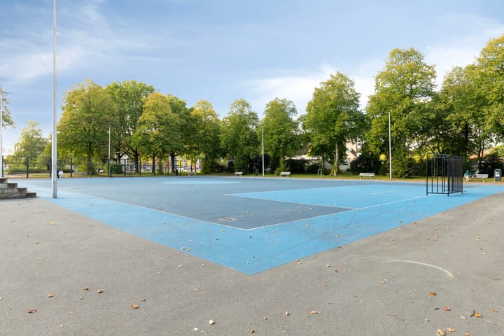 Foto 27 van Rooseveltlaan 824