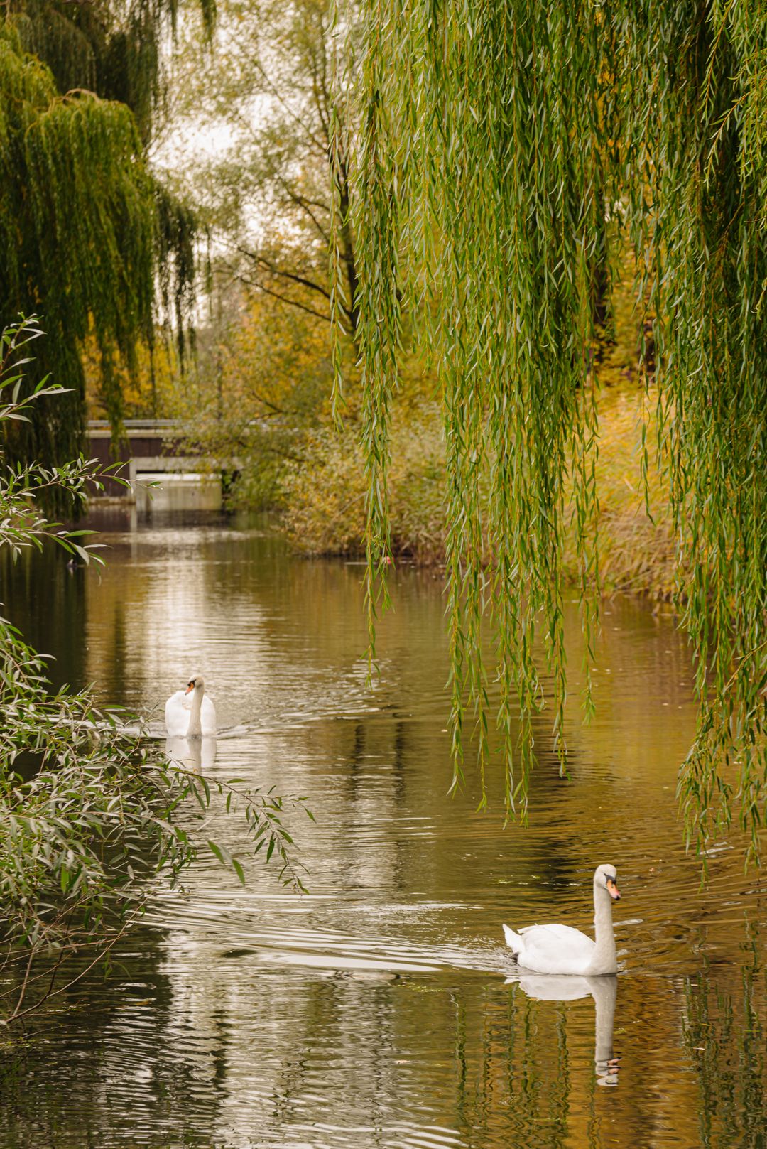 Foto 52 van Piet Mondriaanstraat 216