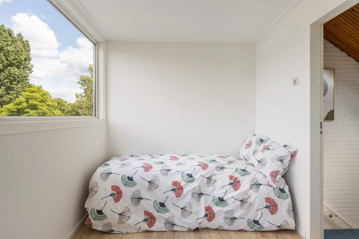 Photo 43 of Zuiderplantsoen 2