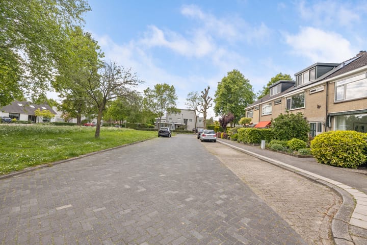 Photo 49 of Zuiderplantsoen 2