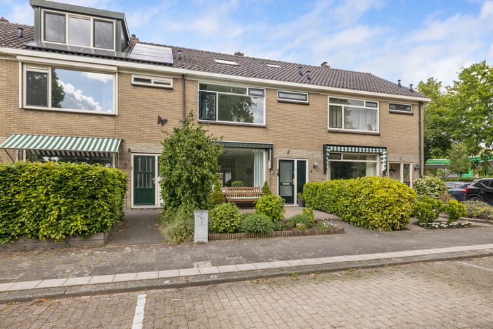 Photo 50 of Zuiderplantsoen 2