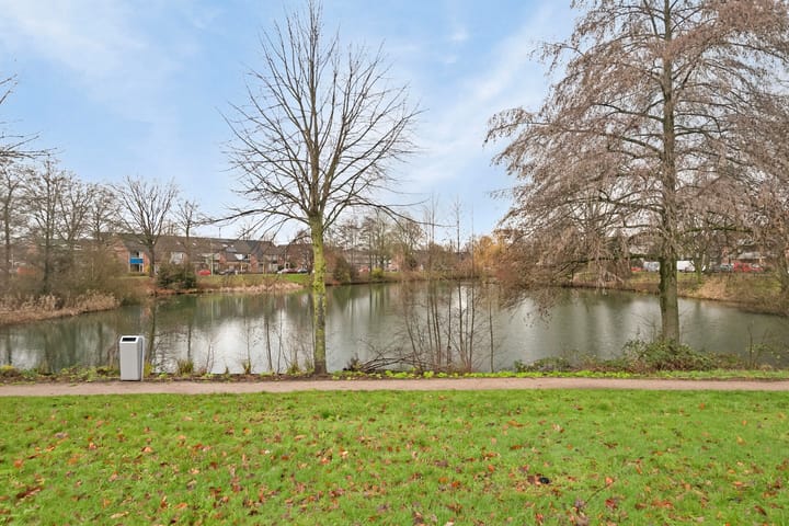 Foto 9 van Elleboog 8