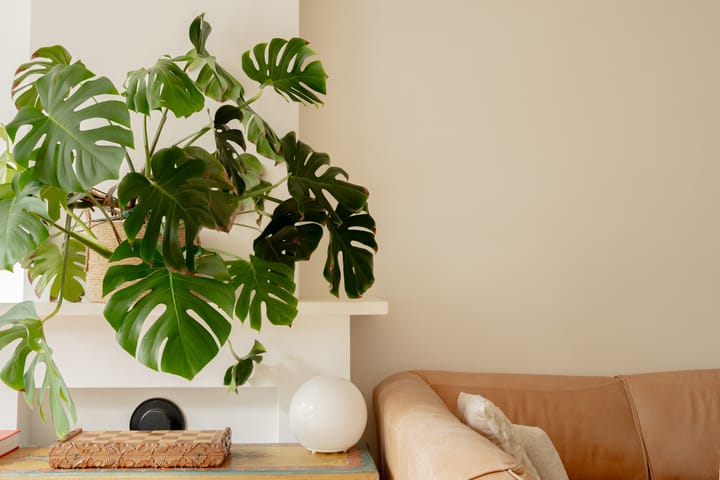 Foto 10 van Commelinstraat 47-2