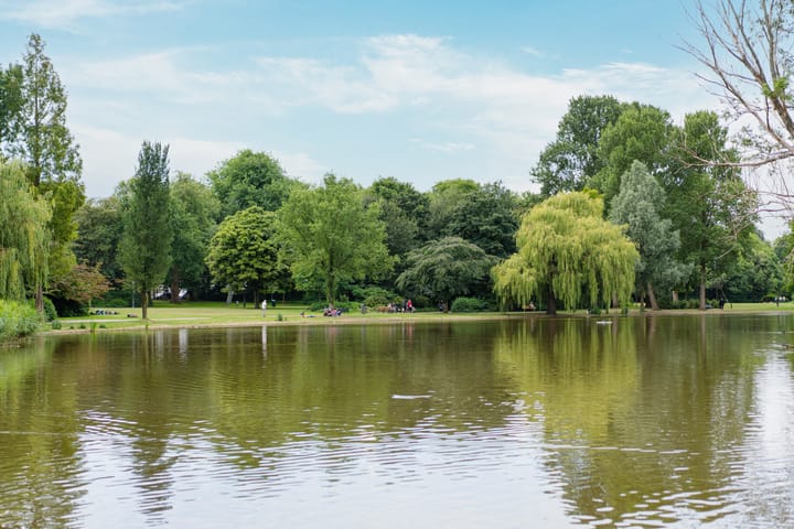 Foto 35 van Commelinstraat 47-2