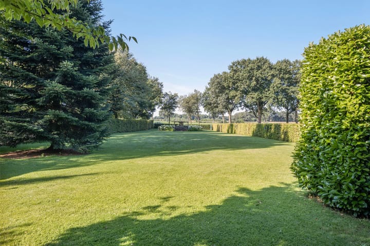 Foto 2 van Rozenbroek 15