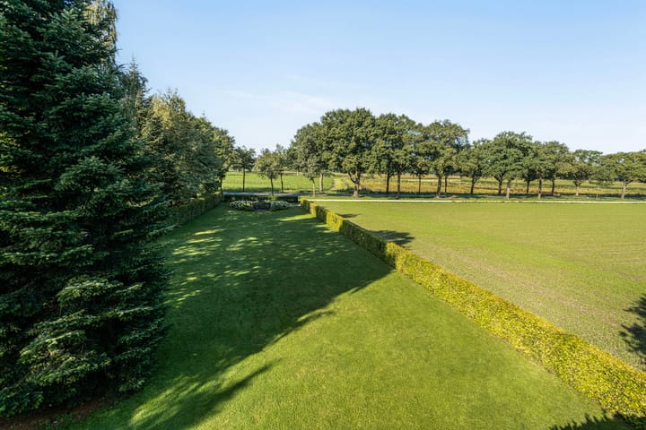 Foto 67 van Rozenbroek 15