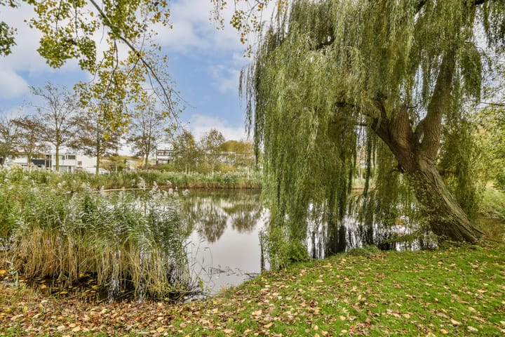 Photo 26 of Melde 82