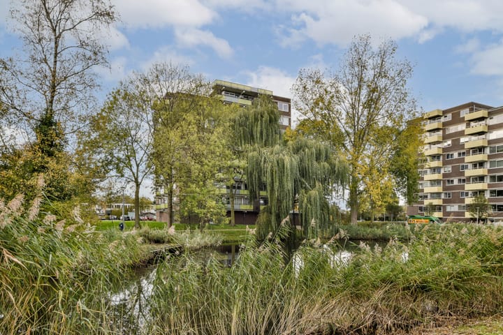 Photo 27 of Melde 82