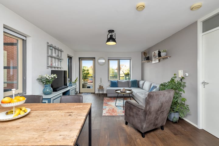 Foto 8 van Plevier 13