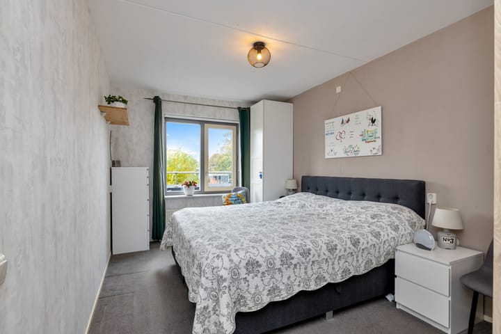 Foto 17 van Plevier 13