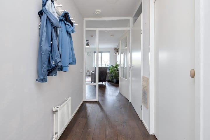 Foto 21 van Plevier 13