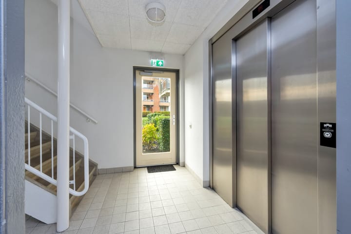 Foto 23 van Plevier 13