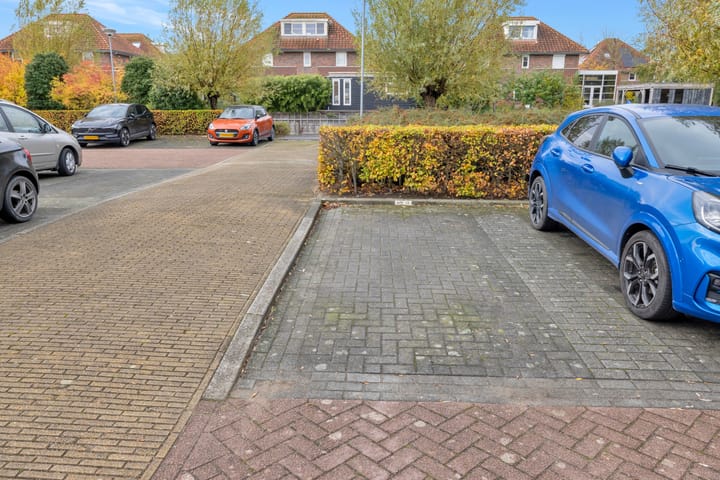 Foto 28 van Plevier 13