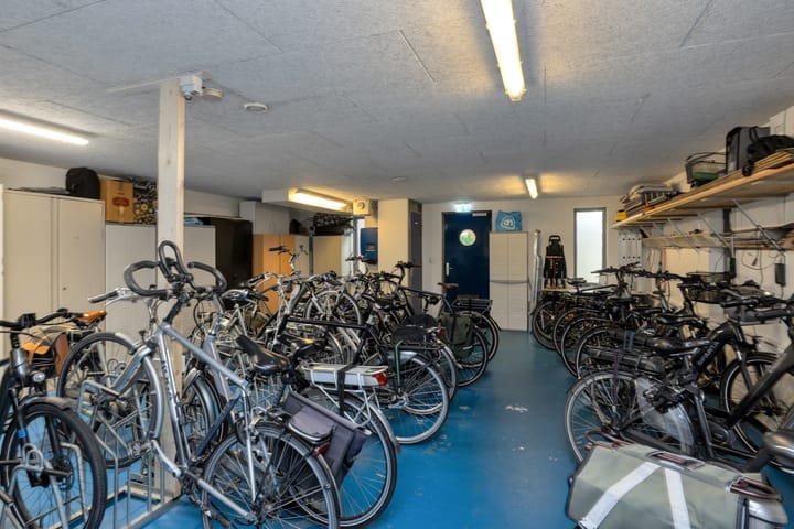 Foto 29 van Plevier 13