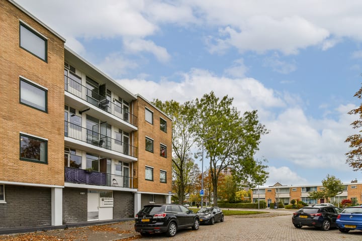 Foto 17 van Notenoord 37